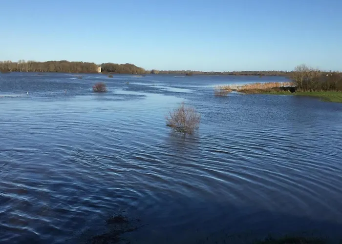 Hébergement de vacances In Houtteville With Garden *